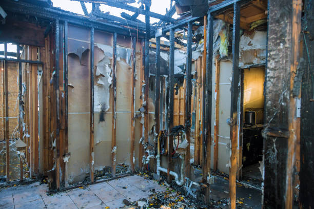 Professional Fire Damage Removal technician working in Portsmouth, OH